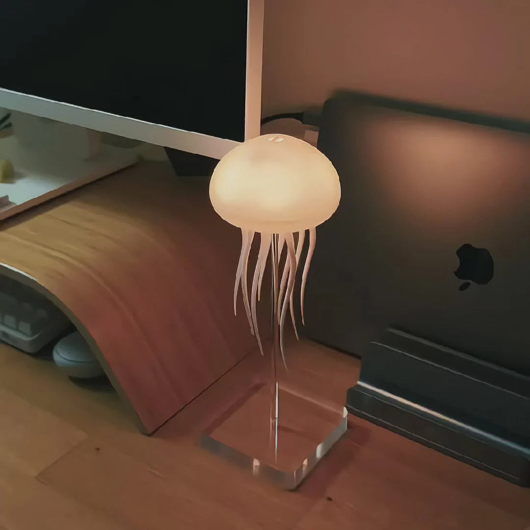 Jellyfish lamp