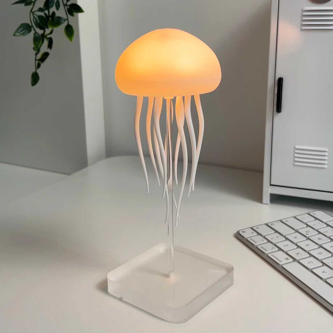 Jellyfish lamp