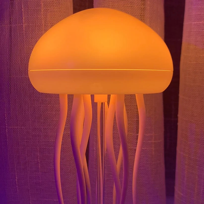 Jellyfish lamp